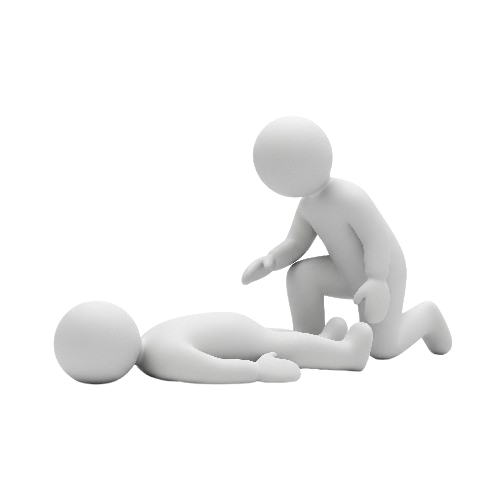 Pictograma Principii de Baza